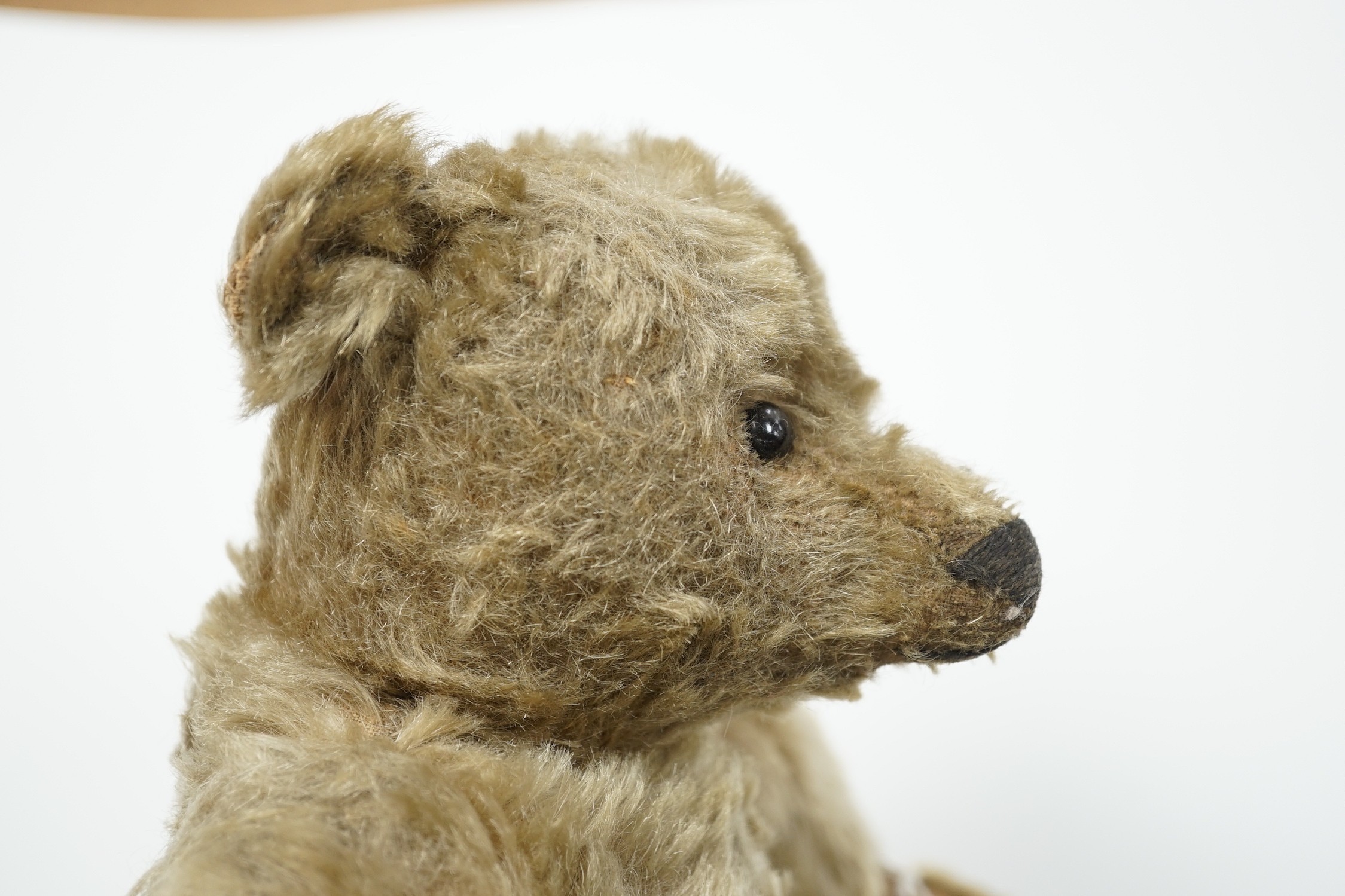 A Steiff teddy bear with button in ear, circa 1910, 35cm